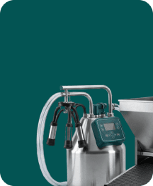 Животноводство